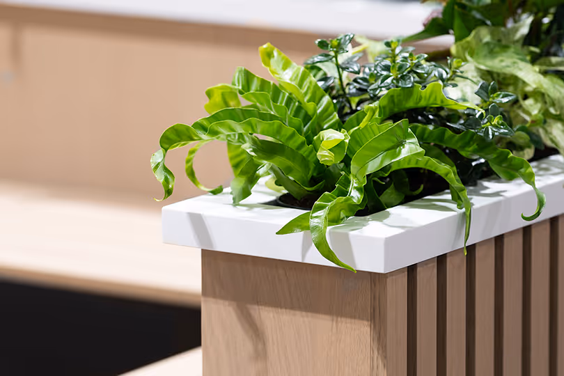 customized planter feature for a rental trade show exhibit