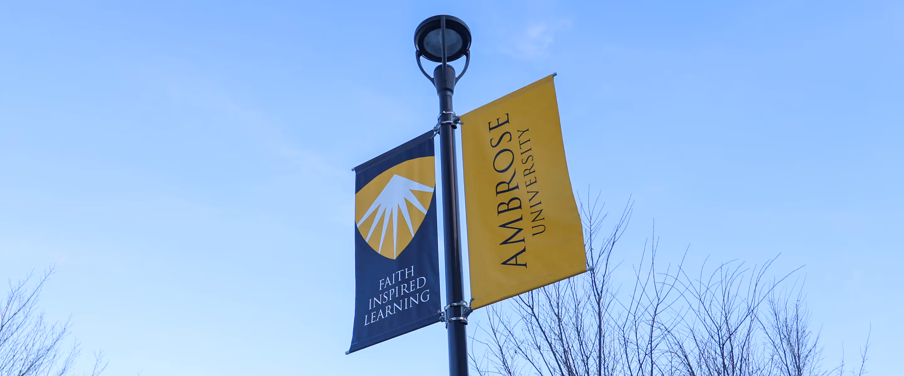 custom outdoor lamp banners for a Calgary University