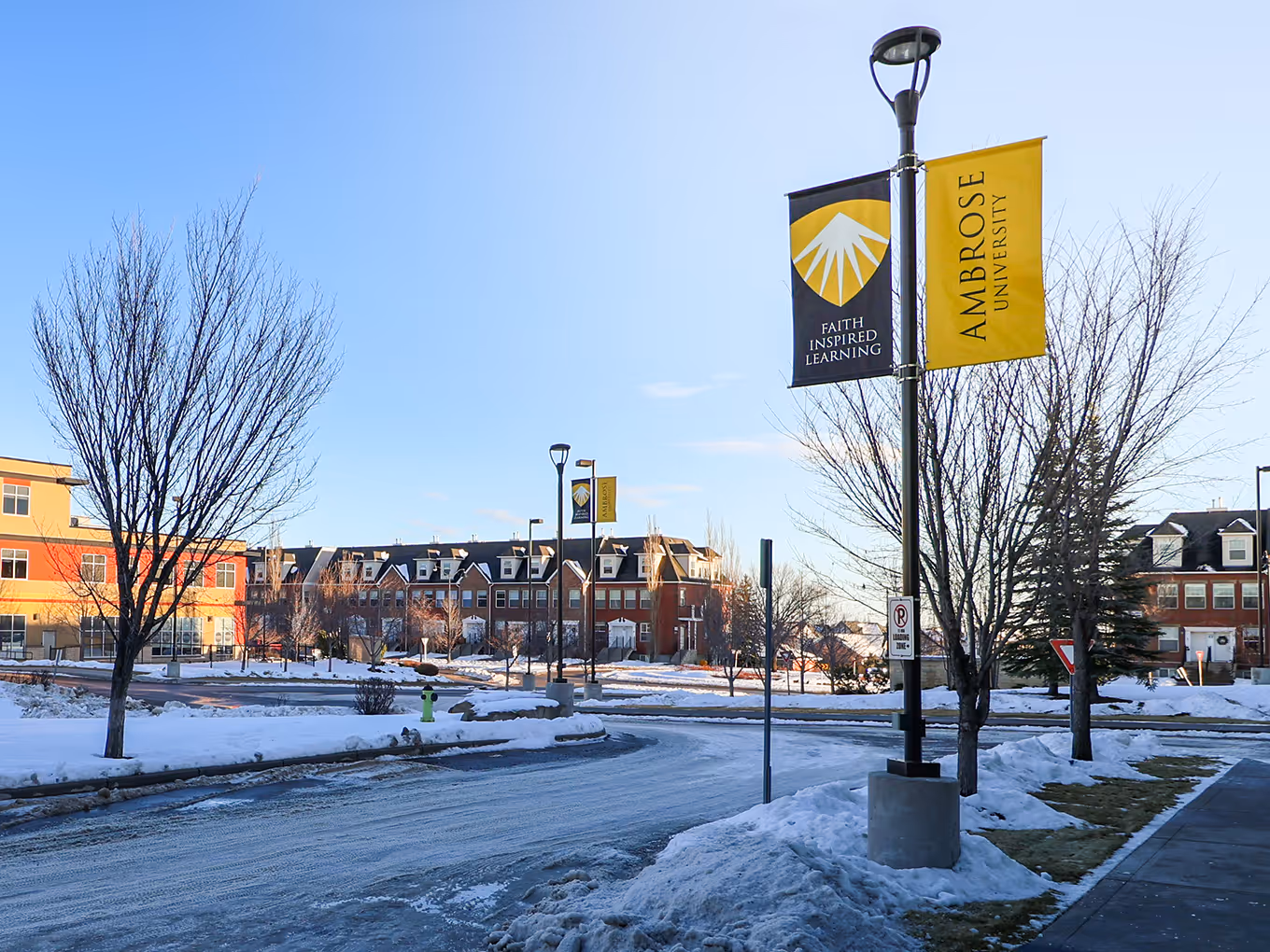 outdoor lamp post with custom vinyl banners for a university campus
