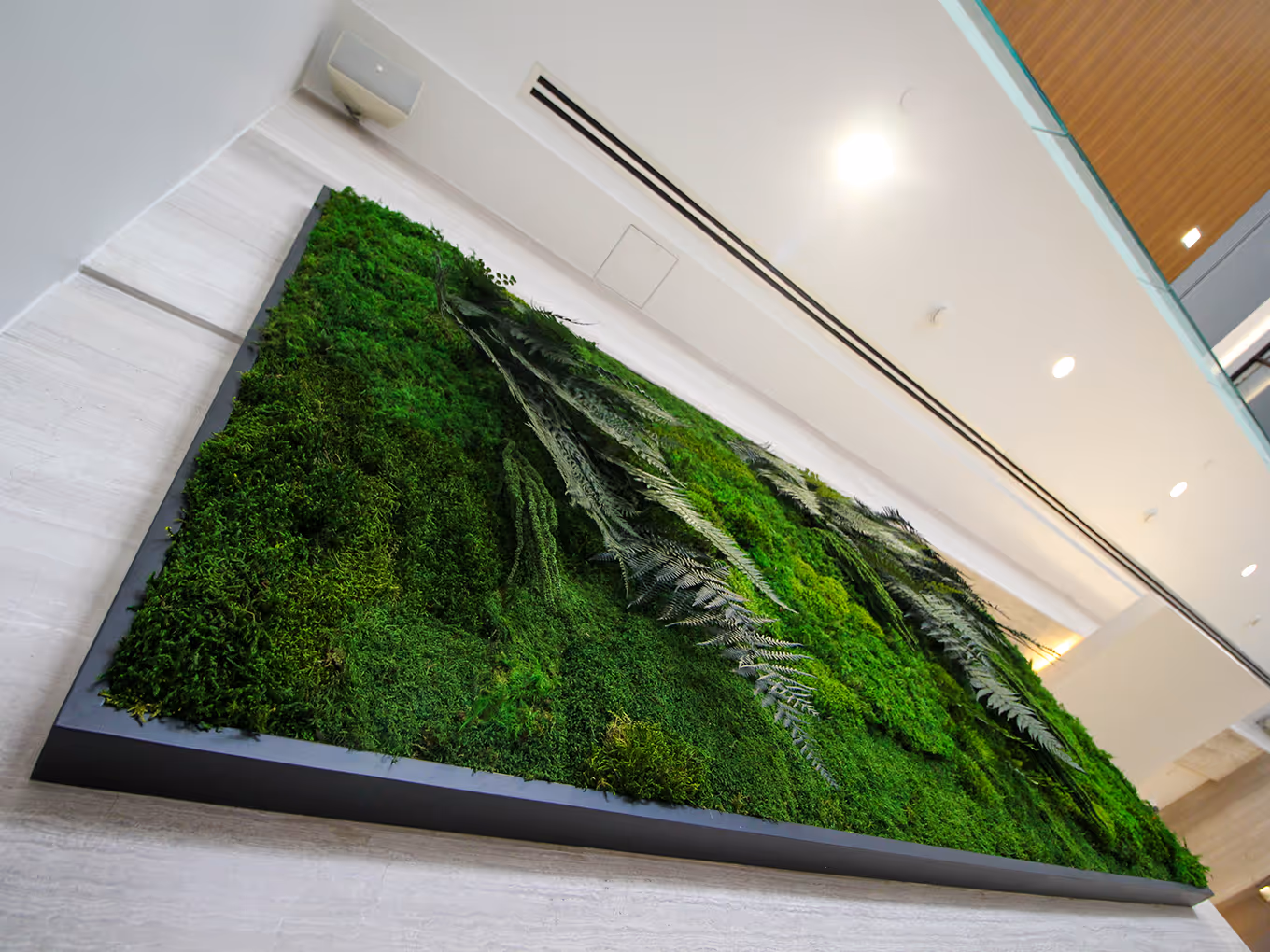 Close up of a custom-built framed moss wart installation with a variety of green colours and textures