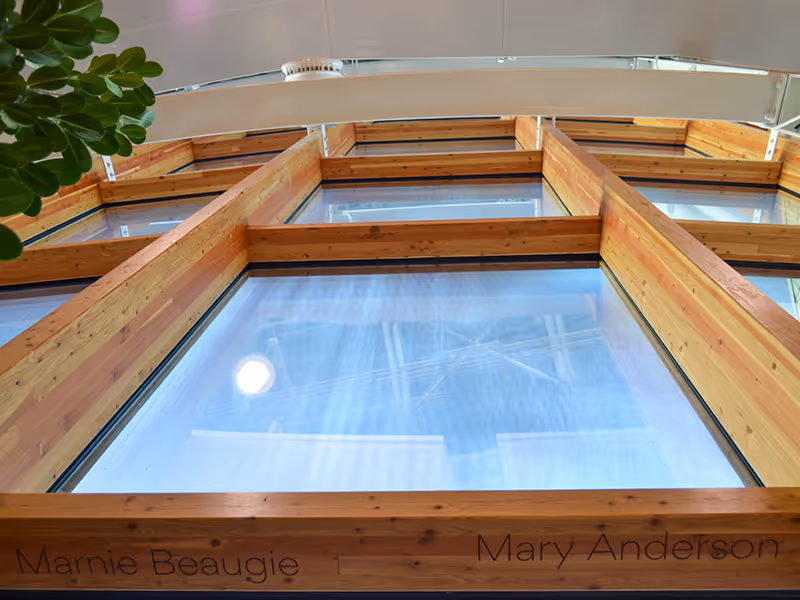 Upward view of Vivo’s Windows of Giving feature with donor names on wood-framed window beams using direct-printed frosted vinyl.