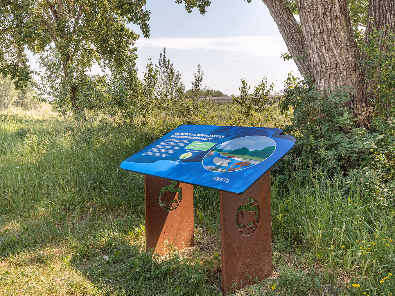 Outdoor interpretive sign installed along a natural pathway, featuring educational graphics about the Sheep River Valley and mounted on weathered steel bases.