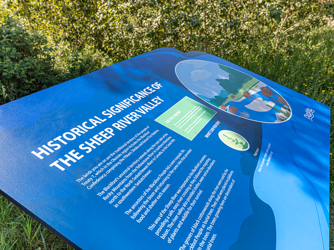Close-up of an exterior interpretive panel explaining the historical significance of the Sheep River Valley, printed on durable aluminum with illustrated graphics.