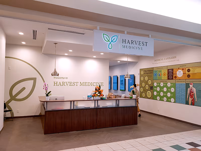 Close-up of illustrated wall graphics showing the human body and cannabinoid receptor locations.