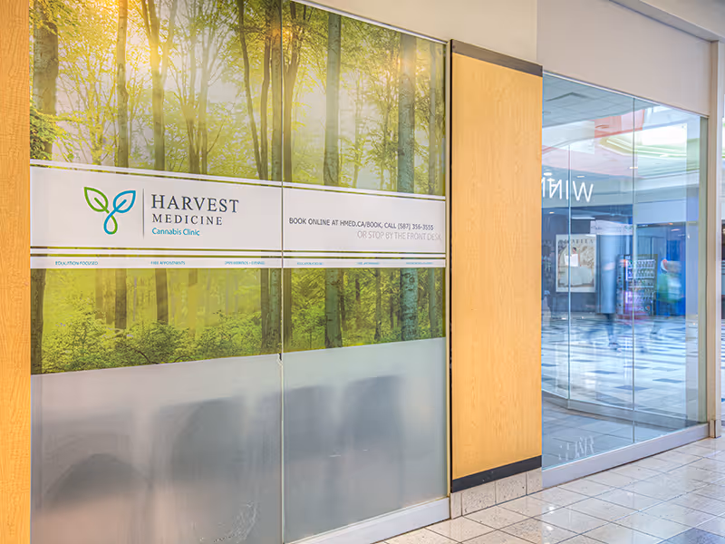 Waiting area with educational wall graphics explaining cannabis strains, usage methods, and patient guidance.