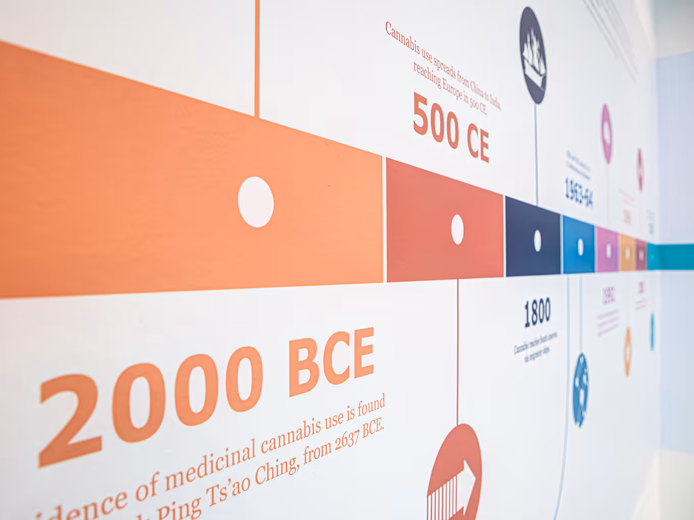 Detail view of a medical cannabis timeline graphic highlighting key historical milestones and dates.