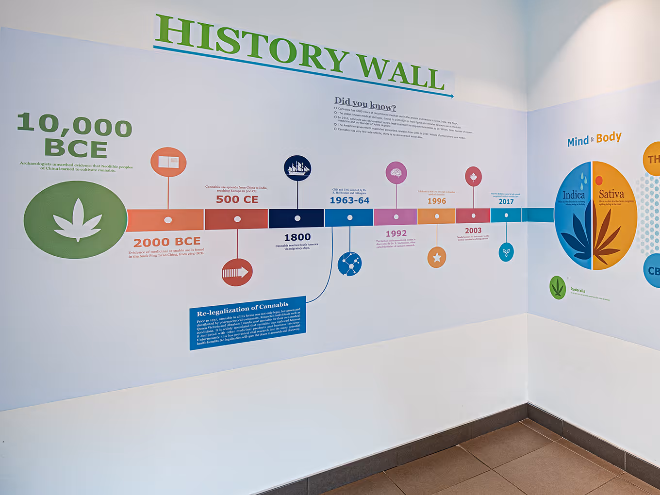 Educational history wall at Harvest Medicine illustrating the timeline of medical cannabis from ancient use to modern care.