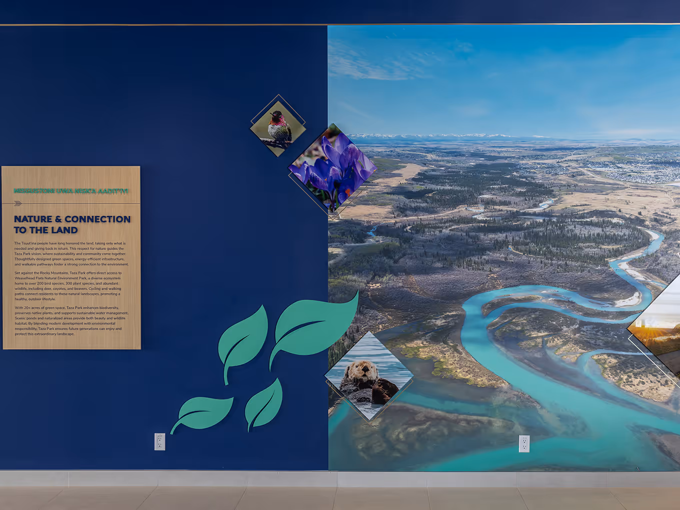 "Nature & Connection to the Land" full-wall display at Taza Park marketing centre with aerial river photography, wildlife imagery, and 3D leaf elements.