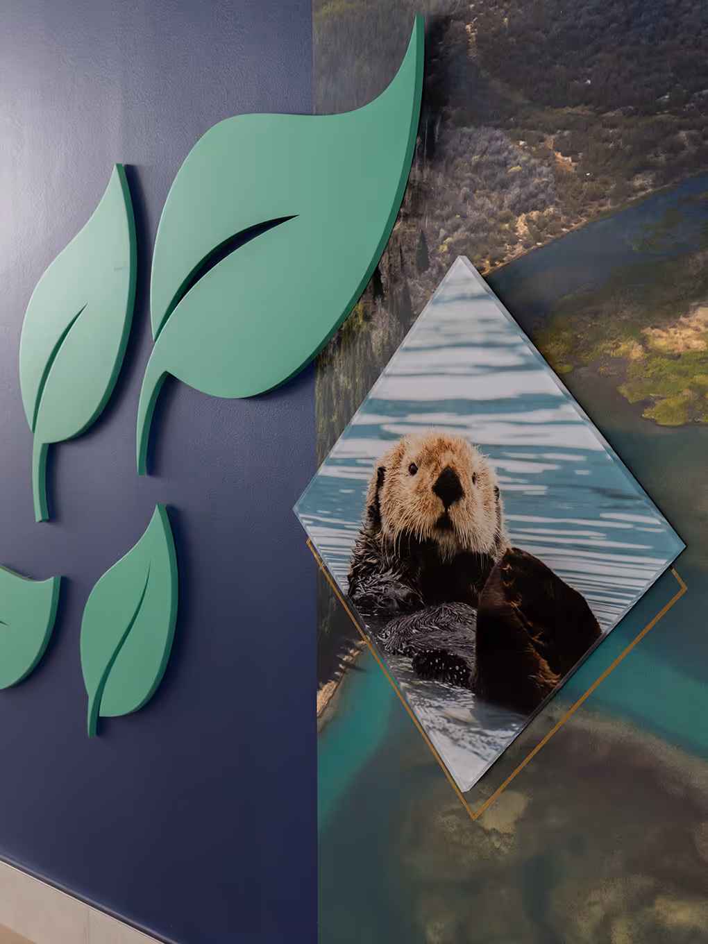 Detail of Taza Park nature wall display featuring 3D sculptural leaf elements and a diamond-framed wildlife photo of an otter on a navy background.