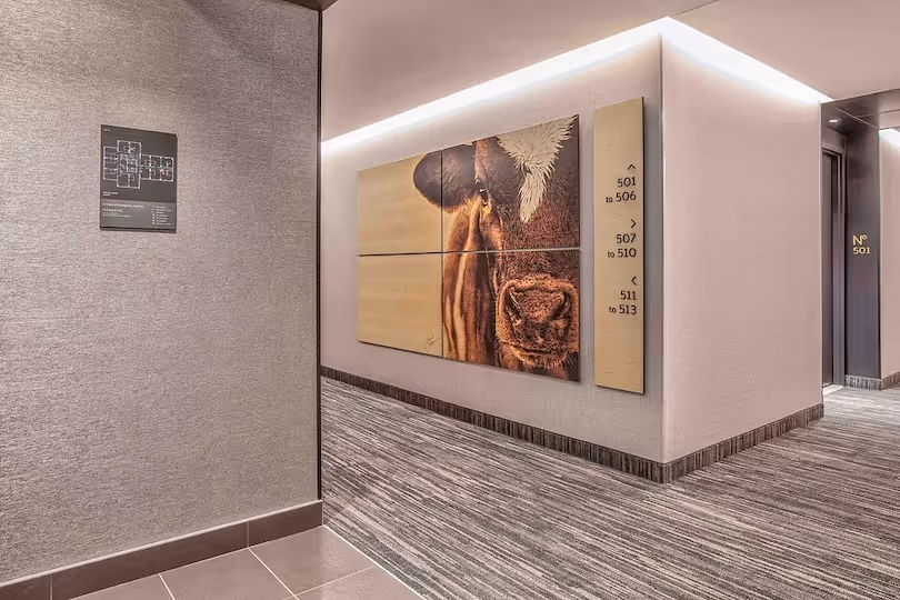 Marriot Hotel hallway with directional signage indicating room numbers and elevator locations with direct print, wood cow mural.