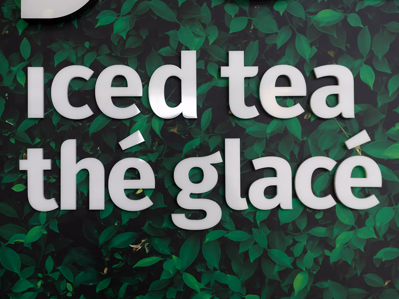 Dimensional white acrylic letters spelling "iced tea thé glacé" mounted on dark green leaf wall mural