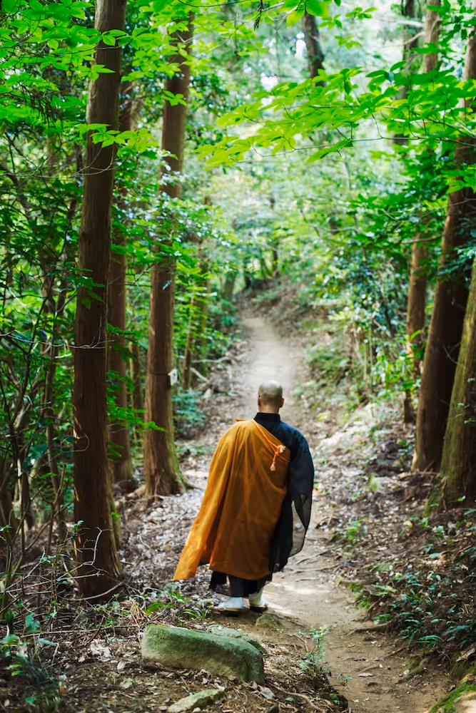A Buddhist monk in orange and black robes walks along a forest path beneath green trees, embodying stillness, discipline, and devotion to the path of awareness.
