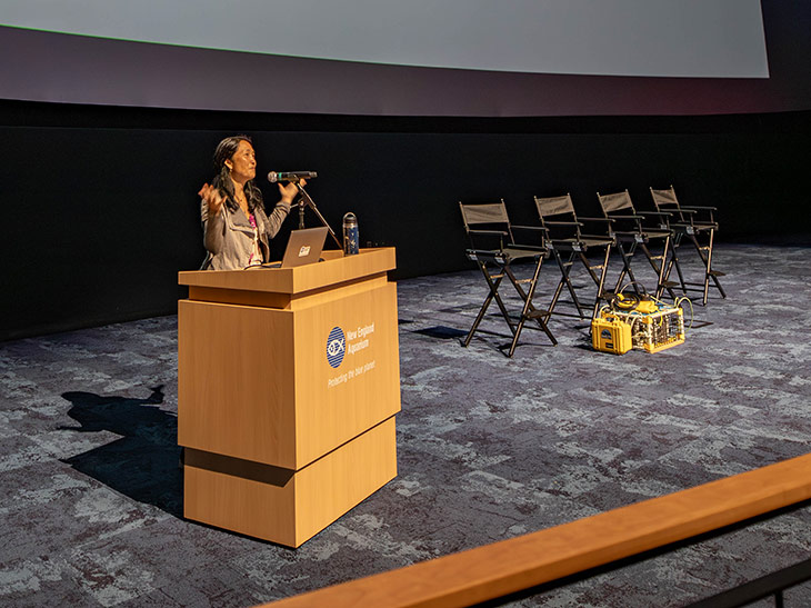 Director of BalanceBlue Lab, Michelle Cho, presents at a workshop