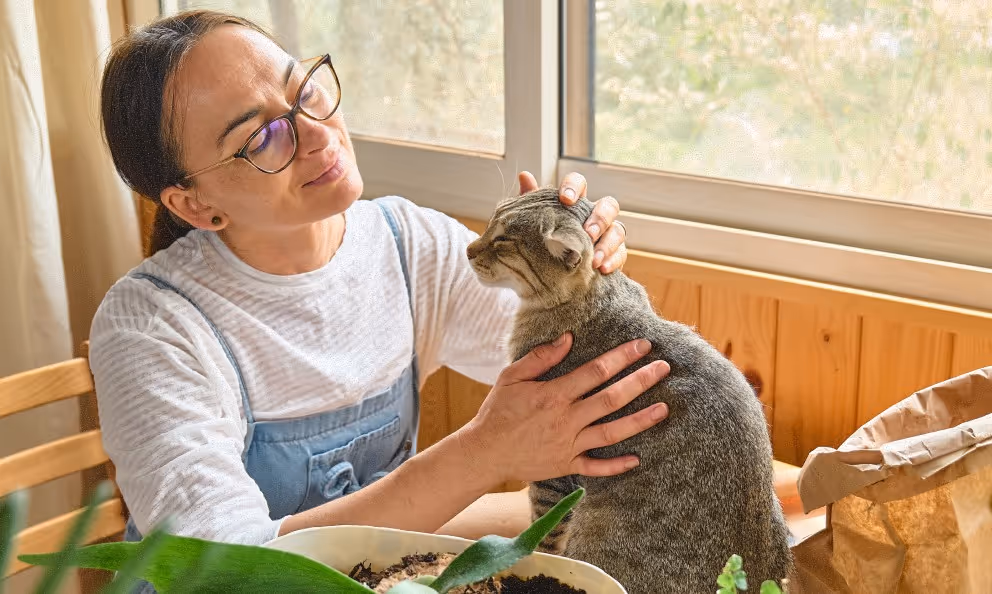 A woman scratching a cats head.
