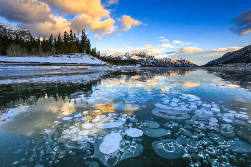 Incorporation in Alberta