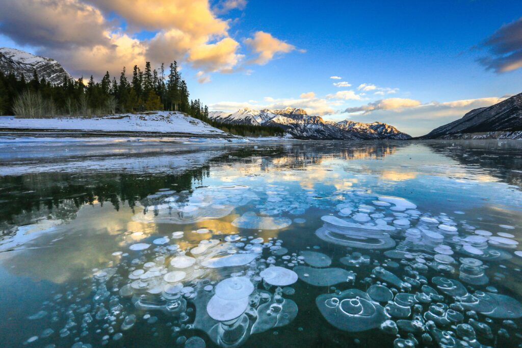 Incorporation in Alberta