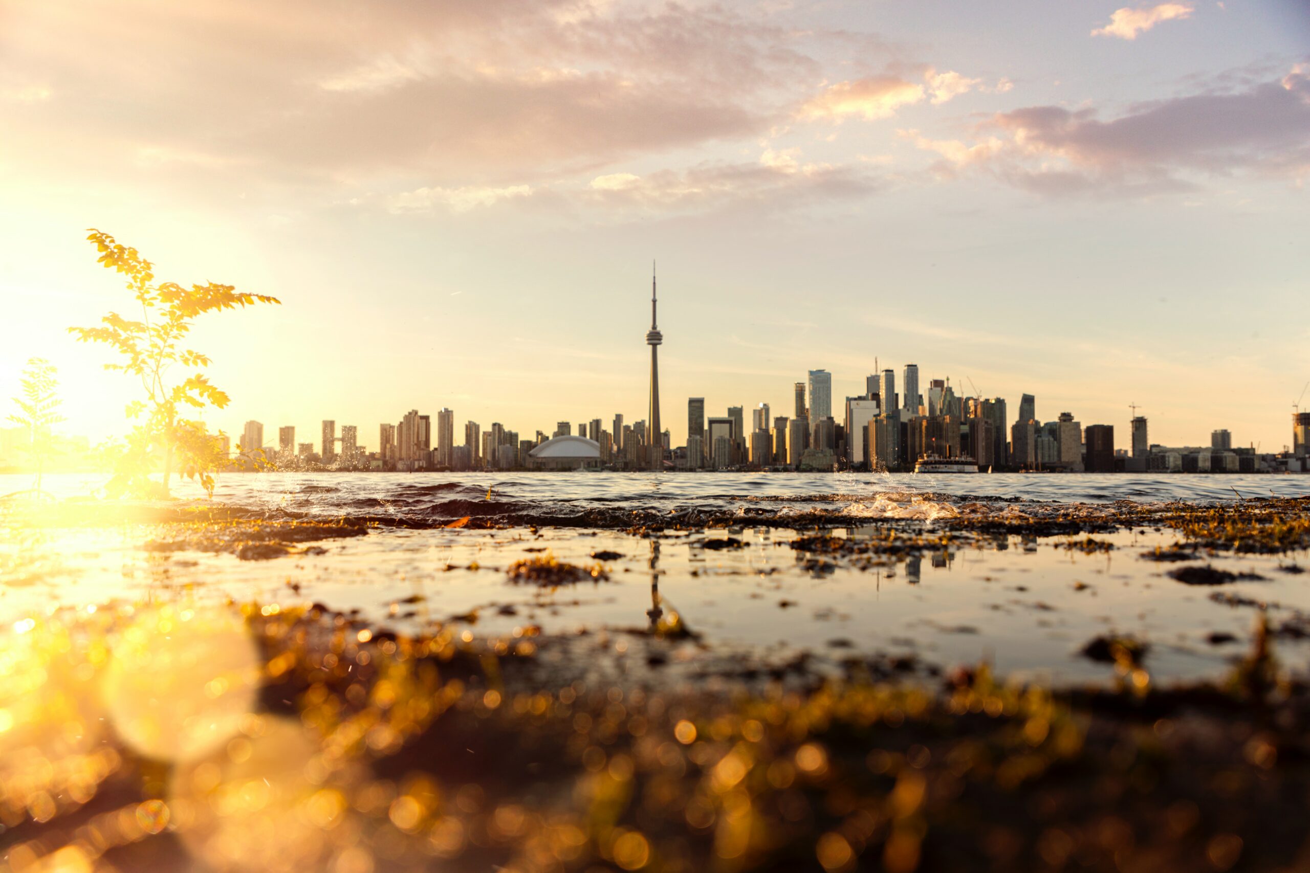 Illustration : Incorporation en Ontario : fédérale ou provinciale ?