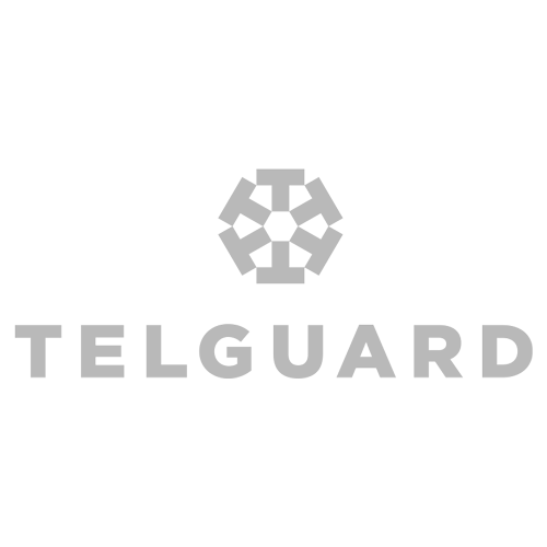 Southeast Security Products logo