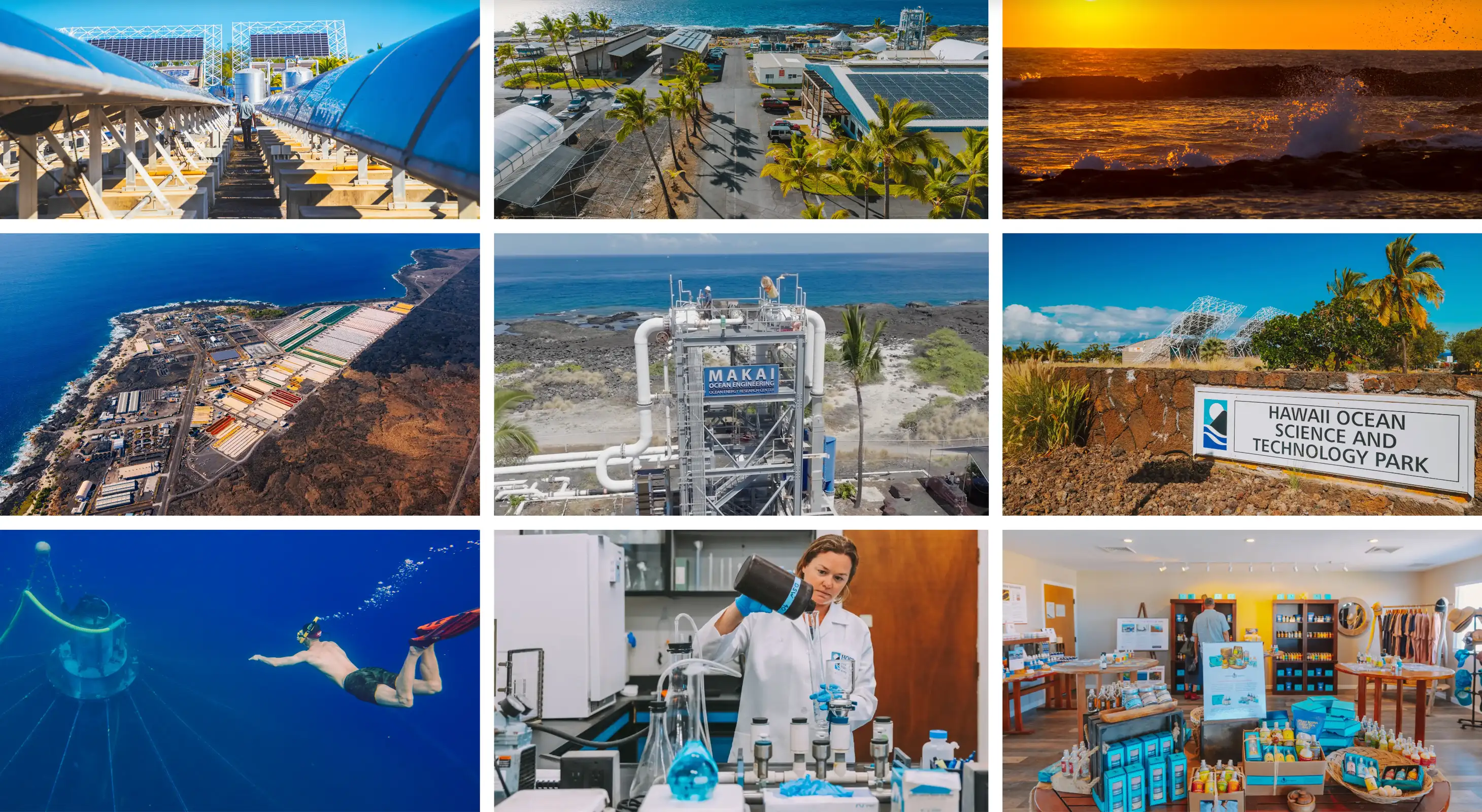 grid layout of images from hostpark.io