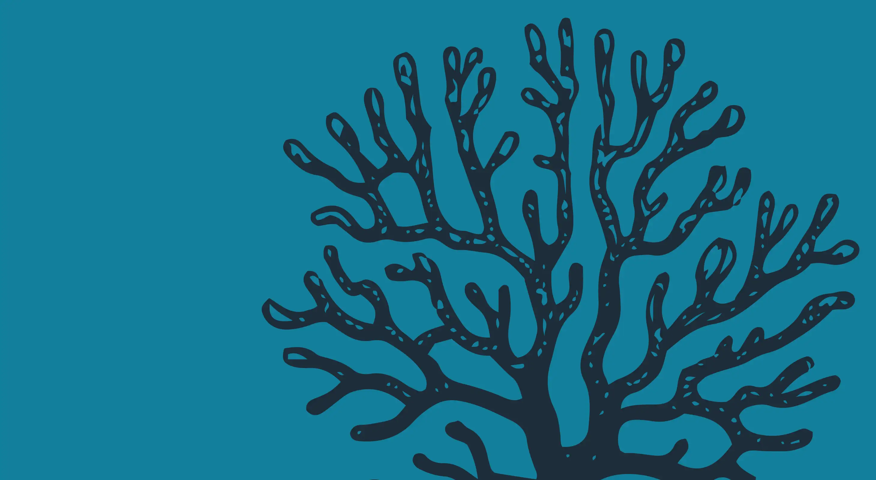 akoakoa illustration on akoakoa brand colors