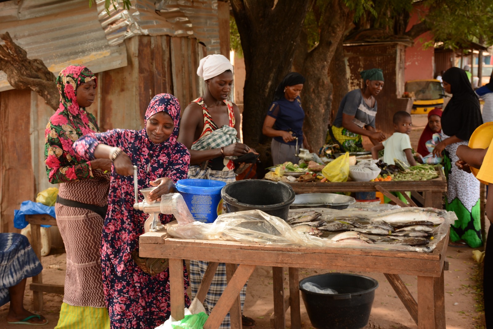 Sénégal famille