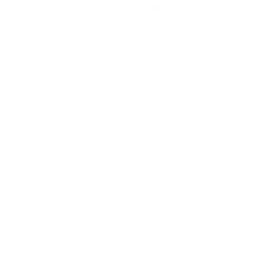 White Apple logo silhouette on a transparent background.