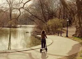 Person riding an electric scooter along a curved lakeside path surrounded by trees.