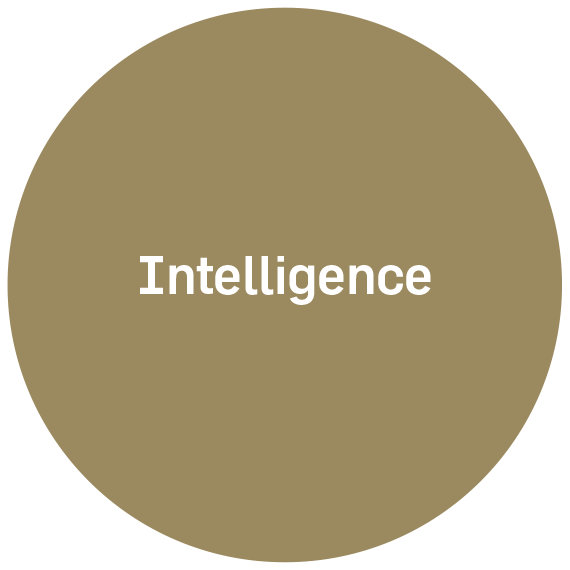 Intelligence