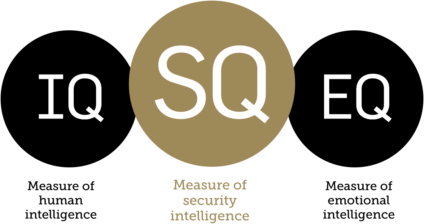 Measure of security intelligence