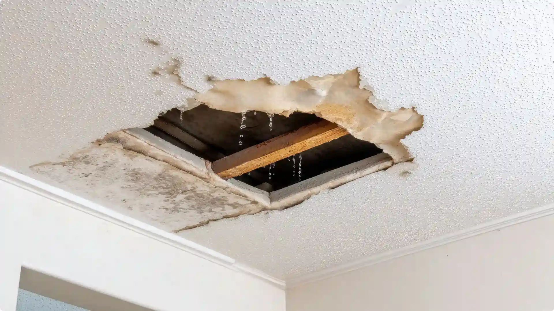 How to Tell If Your Roof Is Leaking
