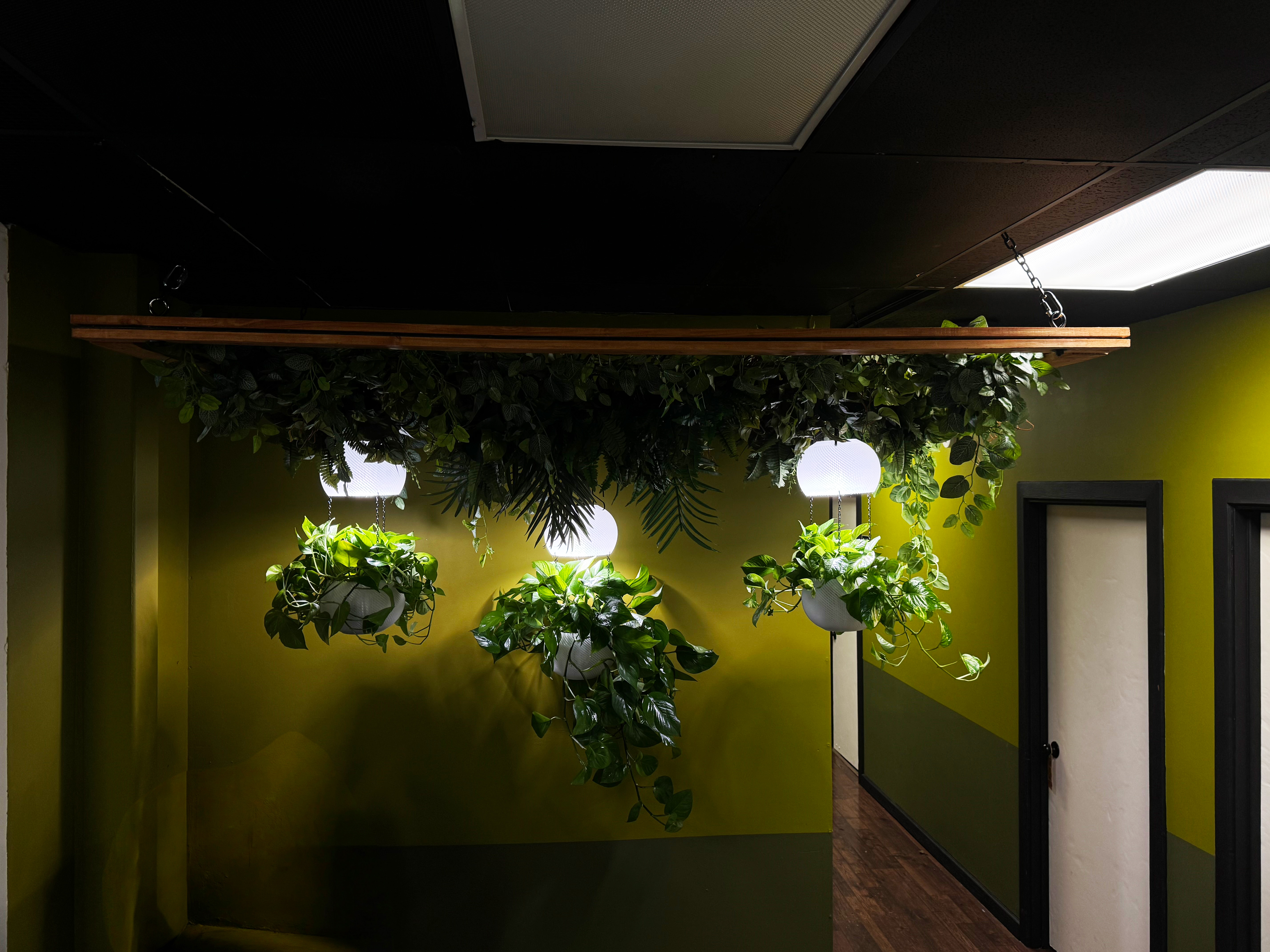 Three hanging planters with green leafy plants and built-in LED grow lights in a hallway with green and olive walls.