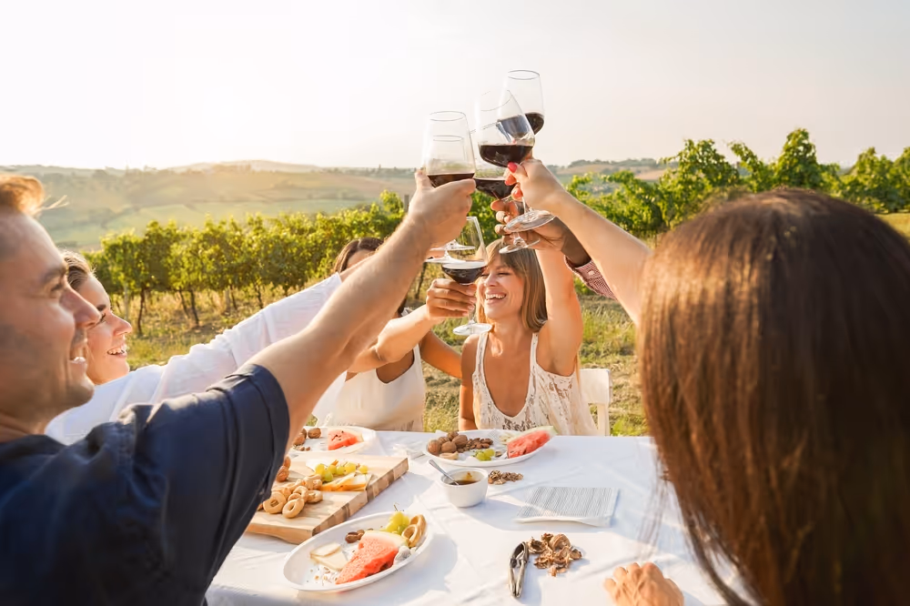 Group of friends outdoors at a vineyard raising glasses of red wine in a toast around a table with fruit and snacks.