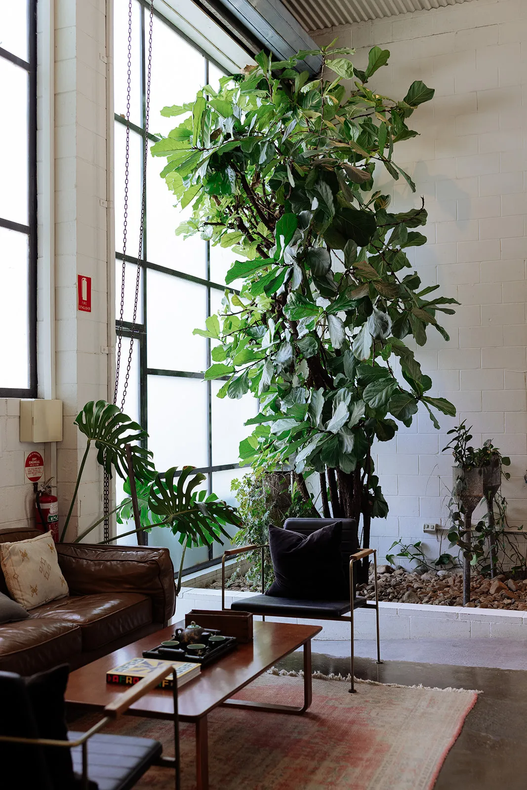 lightspace and prospect studios plant