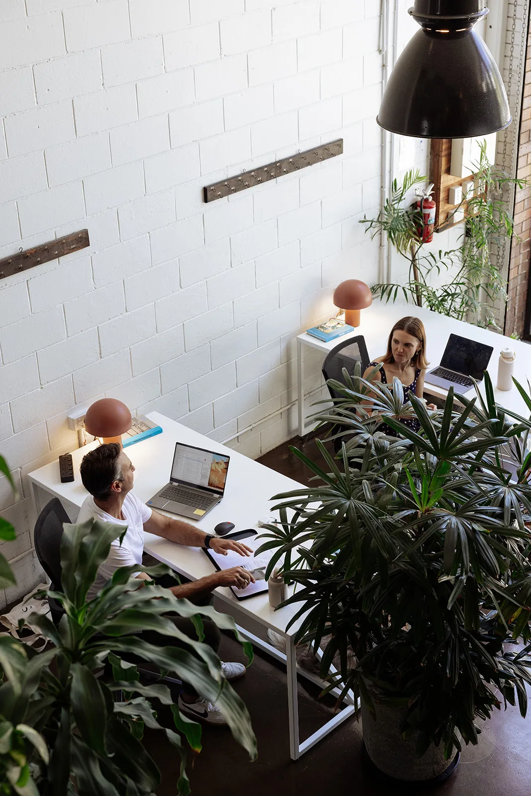 lightspace and prospect studios interior