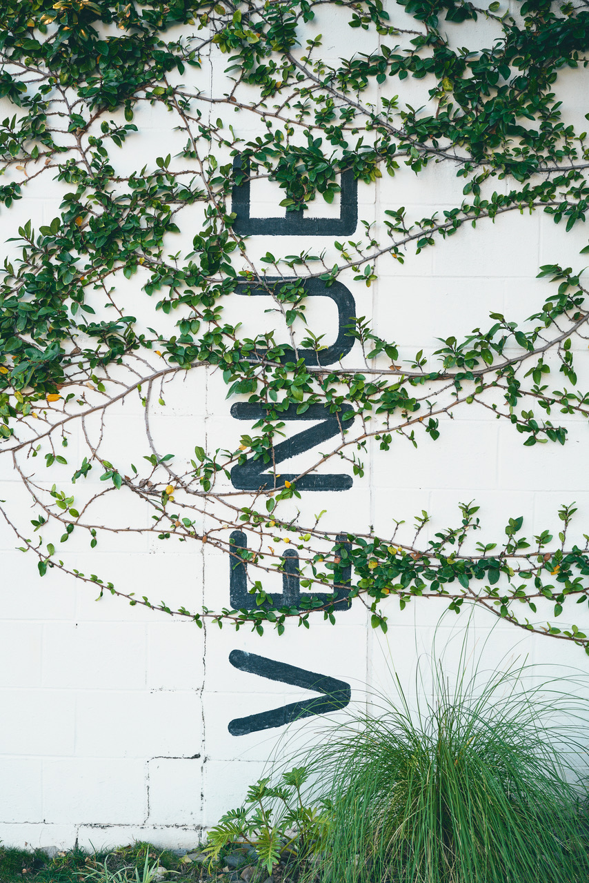 Lightspace and prospect studios exterior