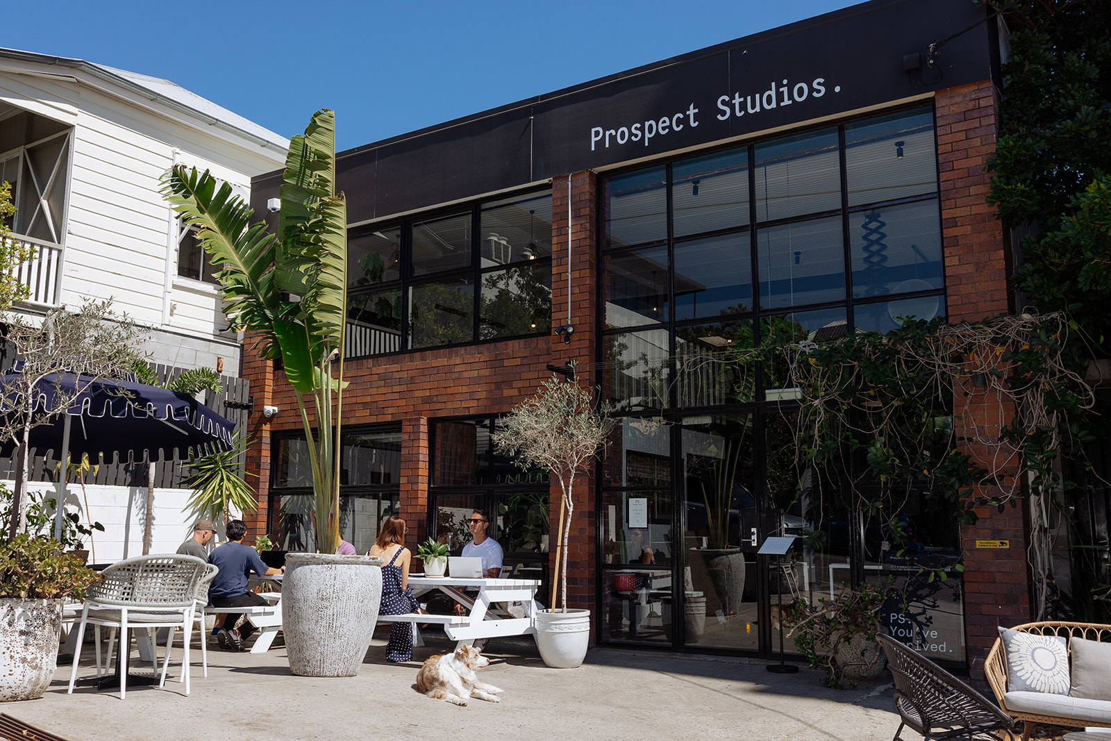 Lightspace and prospect studios exterior