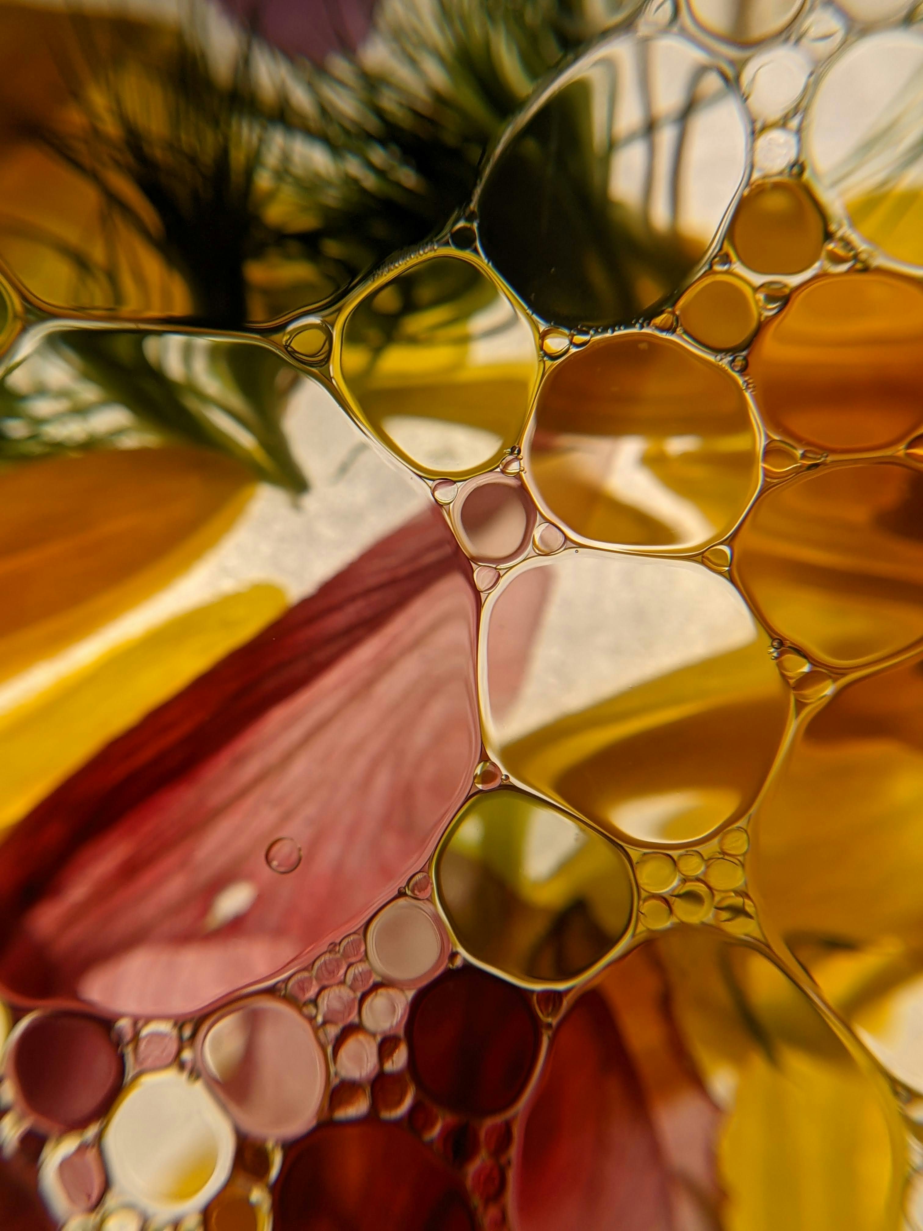 Close-up of oil bubbles on water with blurred colorful flowers behind creating an abstract pattern.