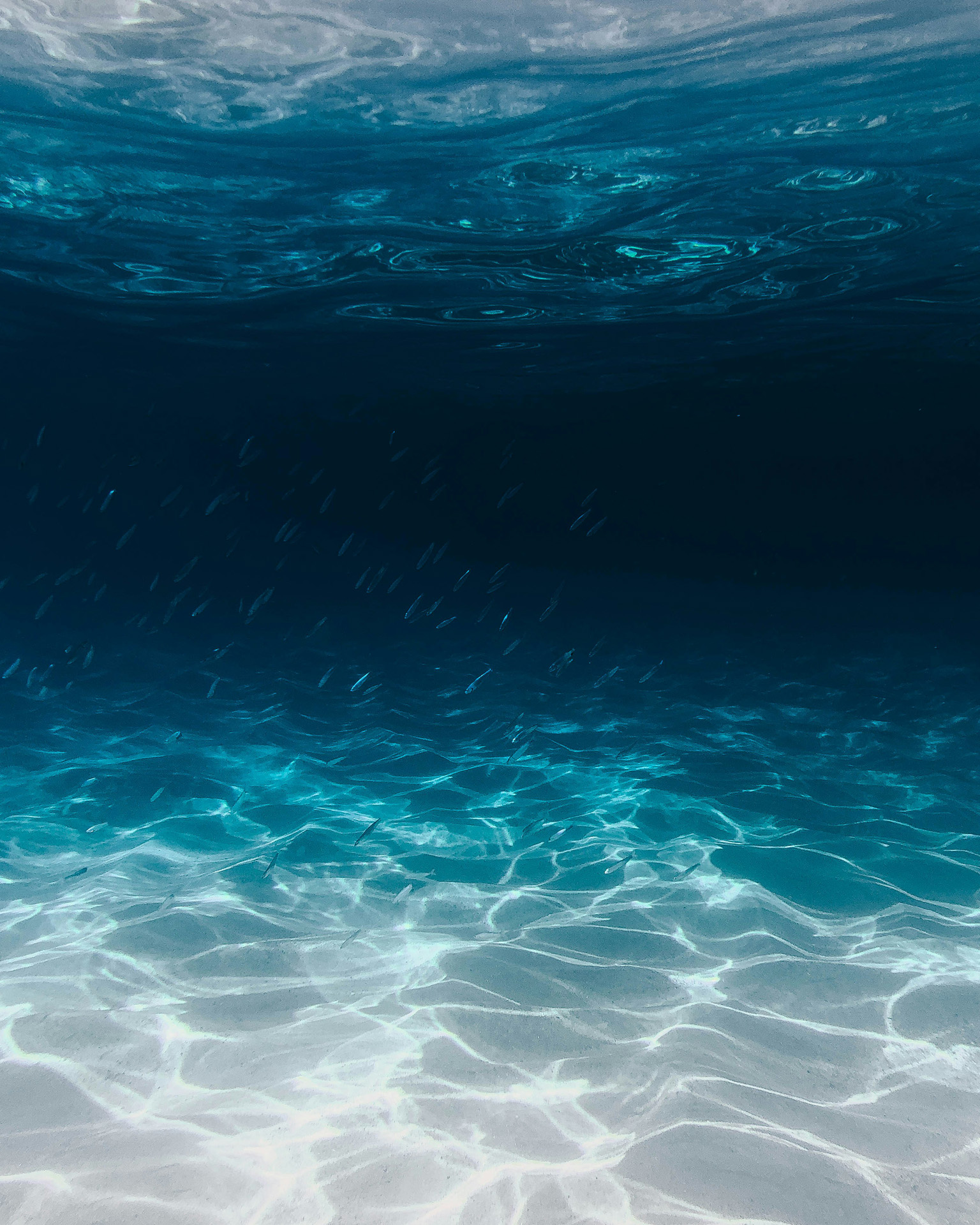 Clear underwater view of sandy ocean floor with small fish and light reflections on water surface.