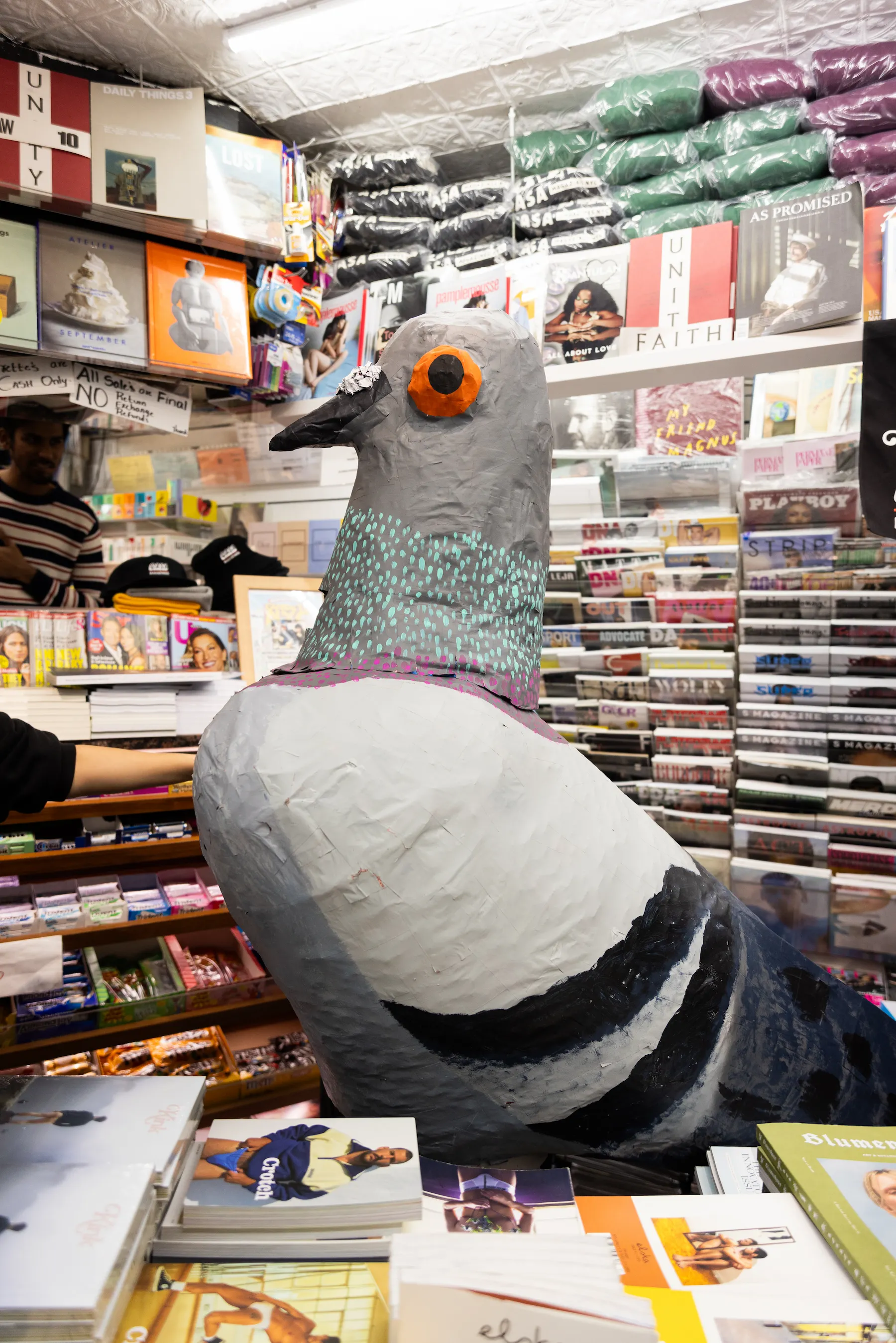 Costume pigeon posing beside magazine racks at Casa Magazines — So & So Productions lifestyle photography.