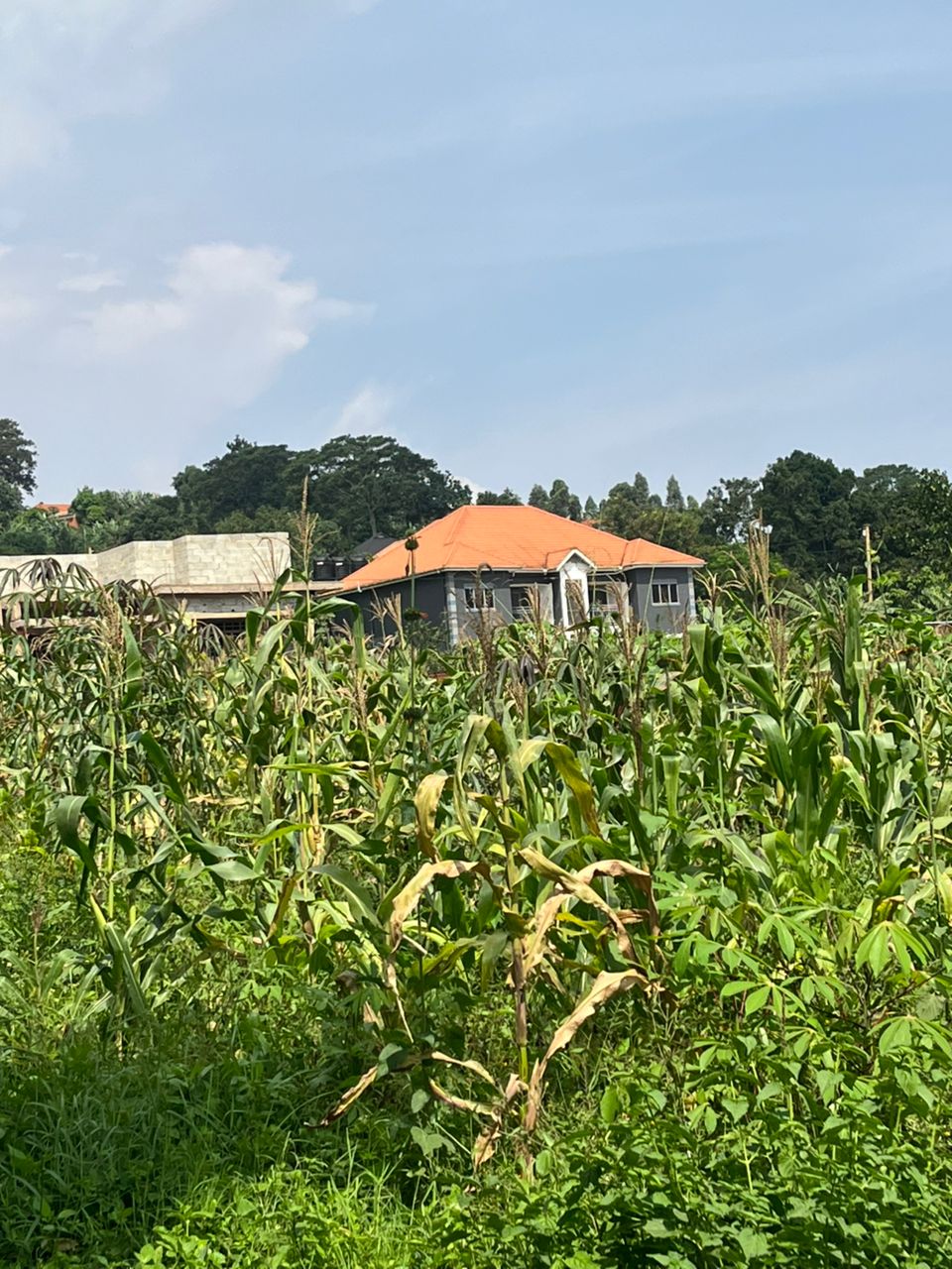 LegitPlot verified land for sale in Wakiso District