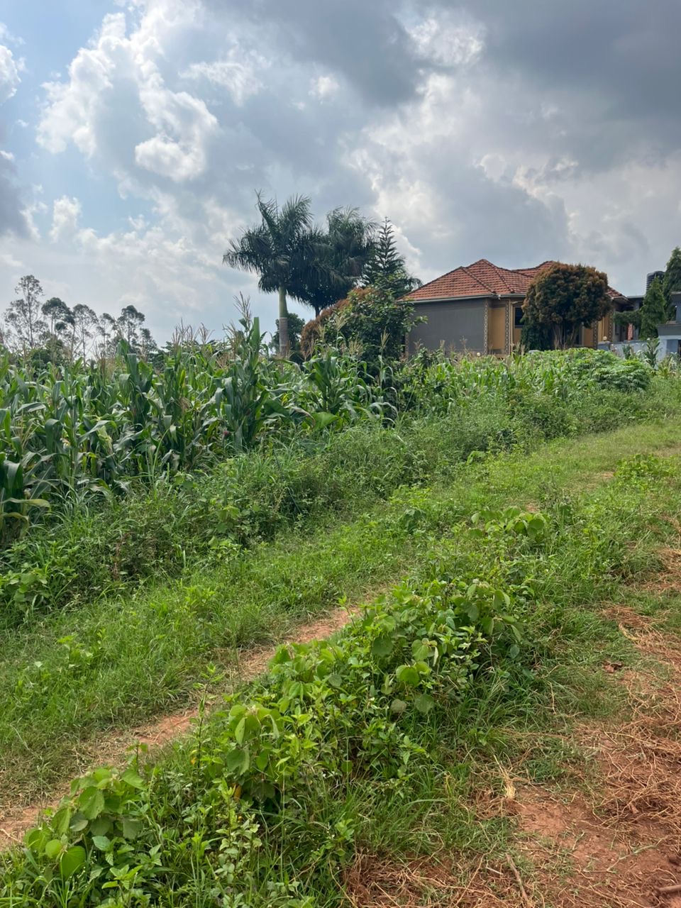 Land for sale in Kitende Wakiso