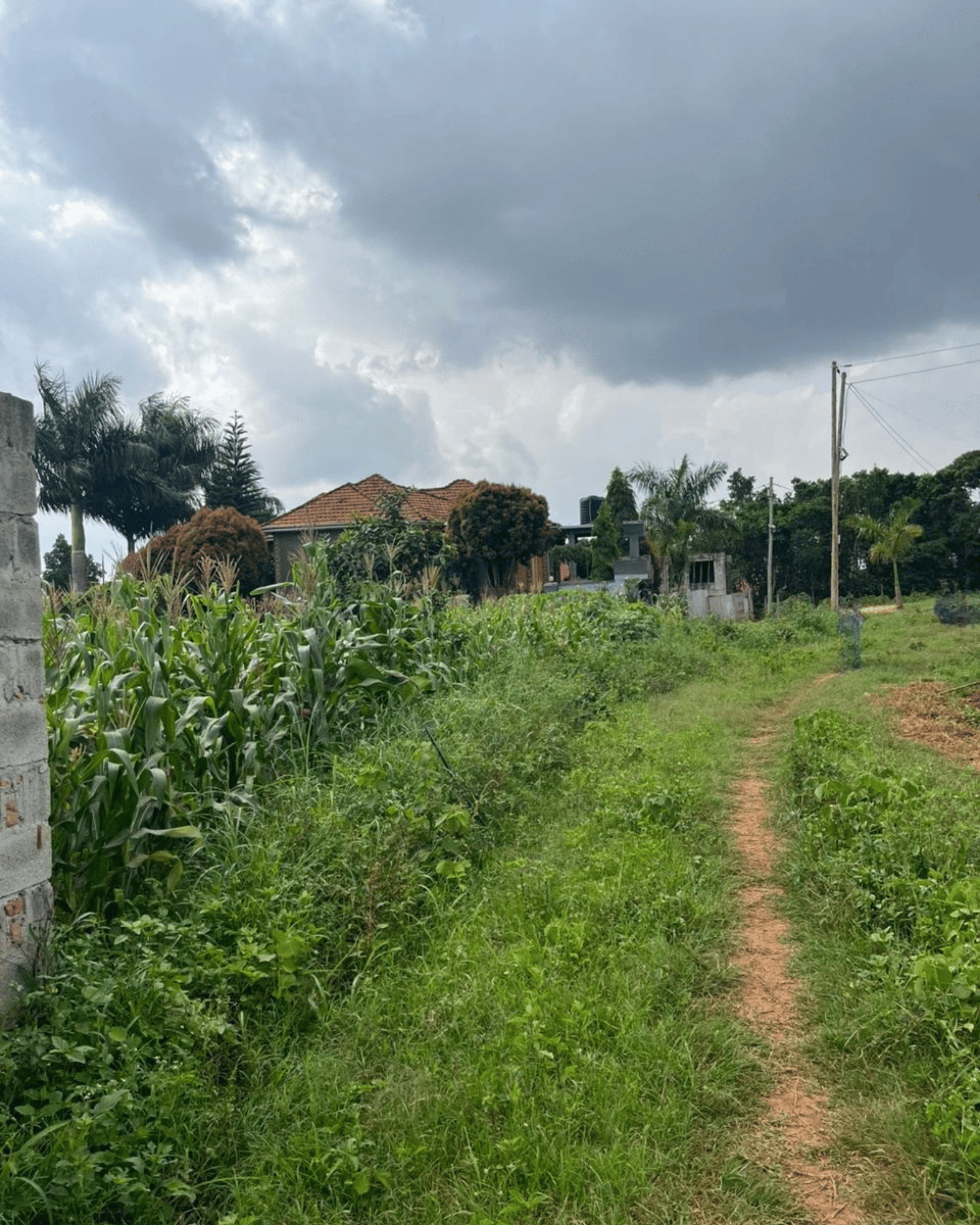 Residential plot for sale in Wakiso