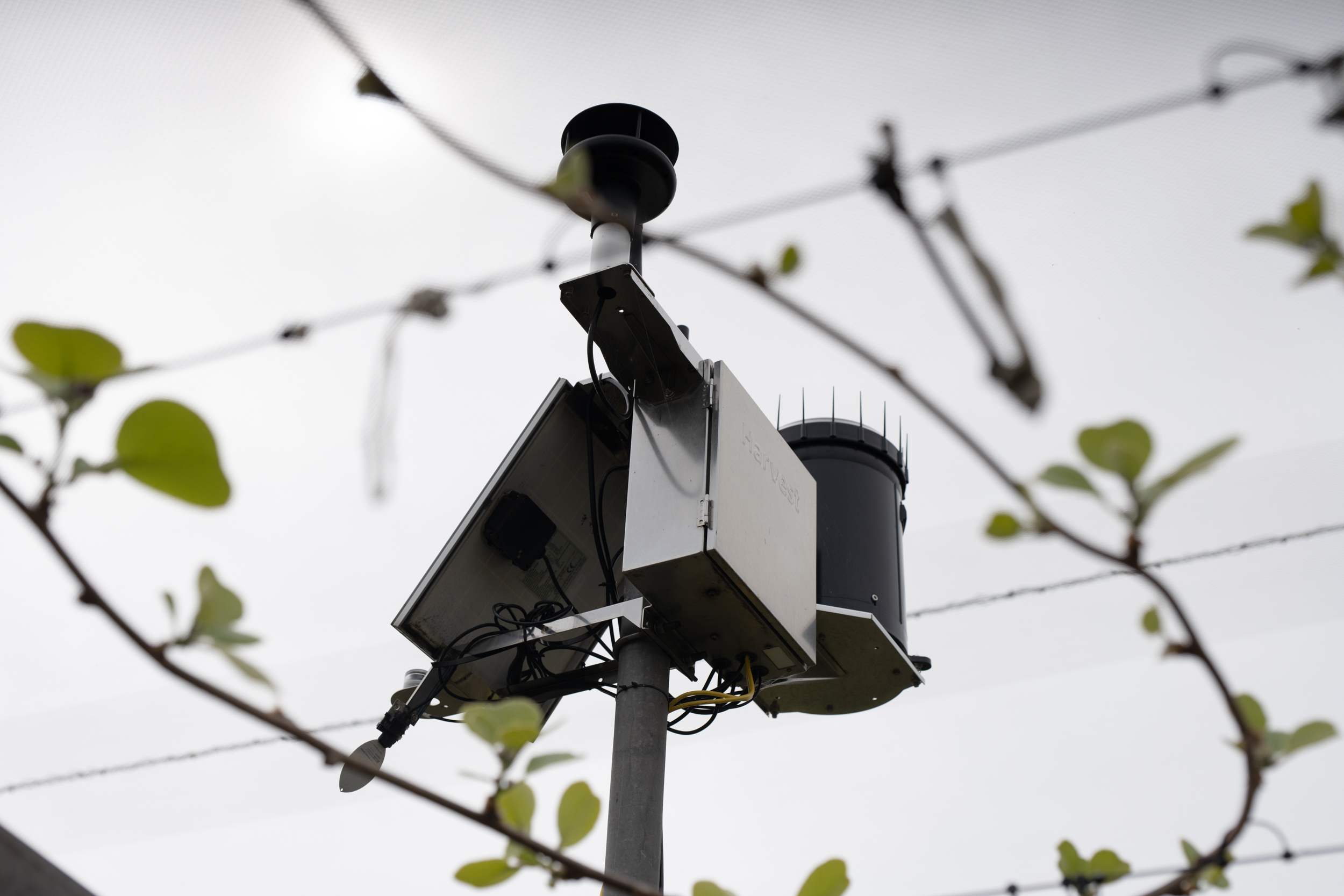 Harvest Weather Station on Kiwifruit Orchard in Bay of Plenty