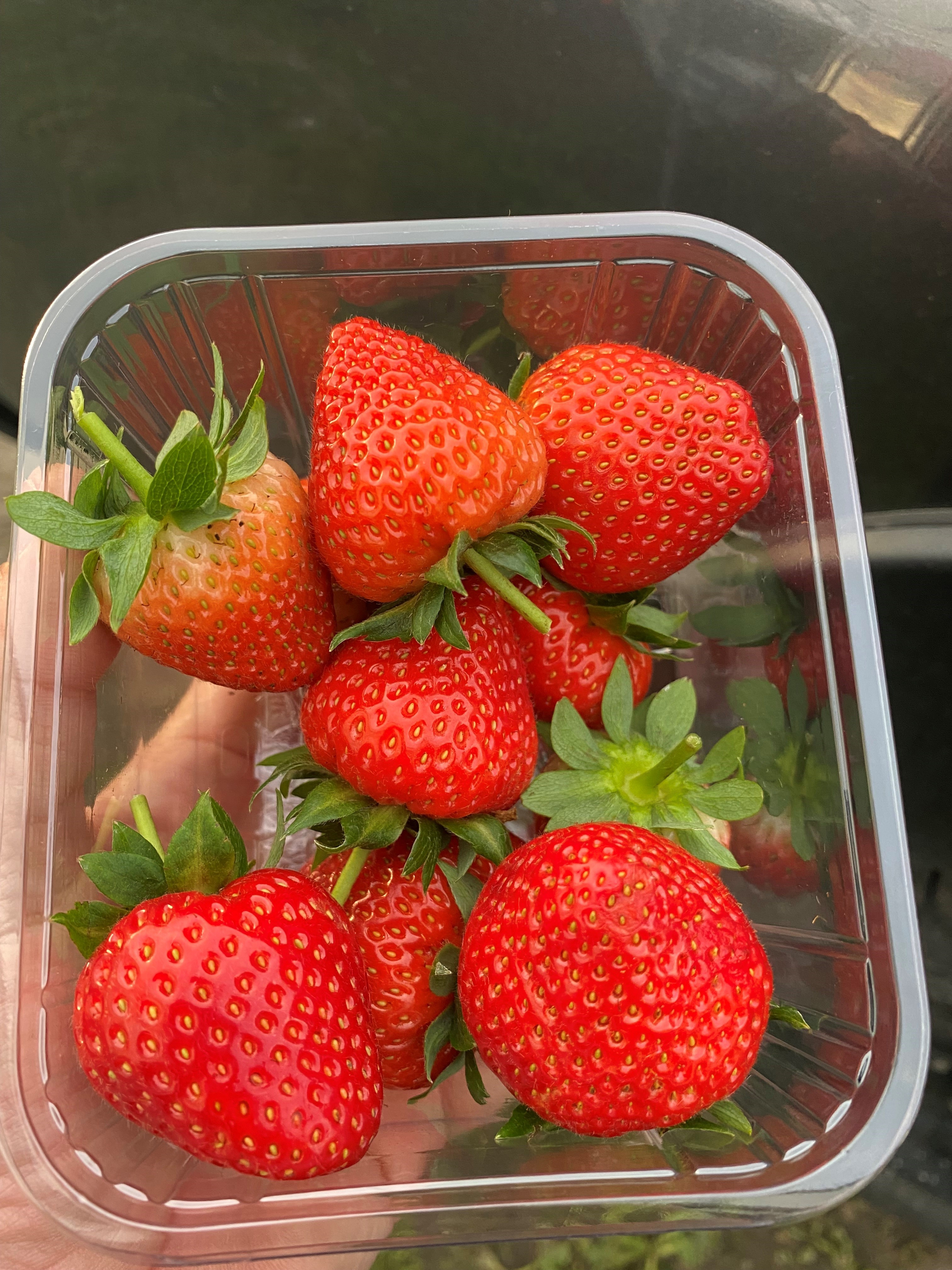 Strawberries grown by The Fresh Berry Company.