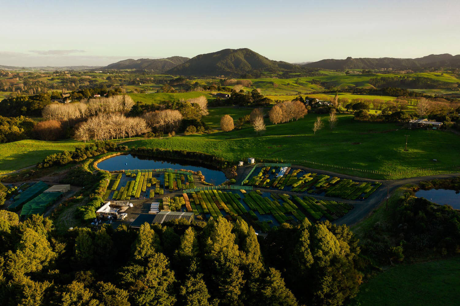 The Rural Design nursery in Northland.
