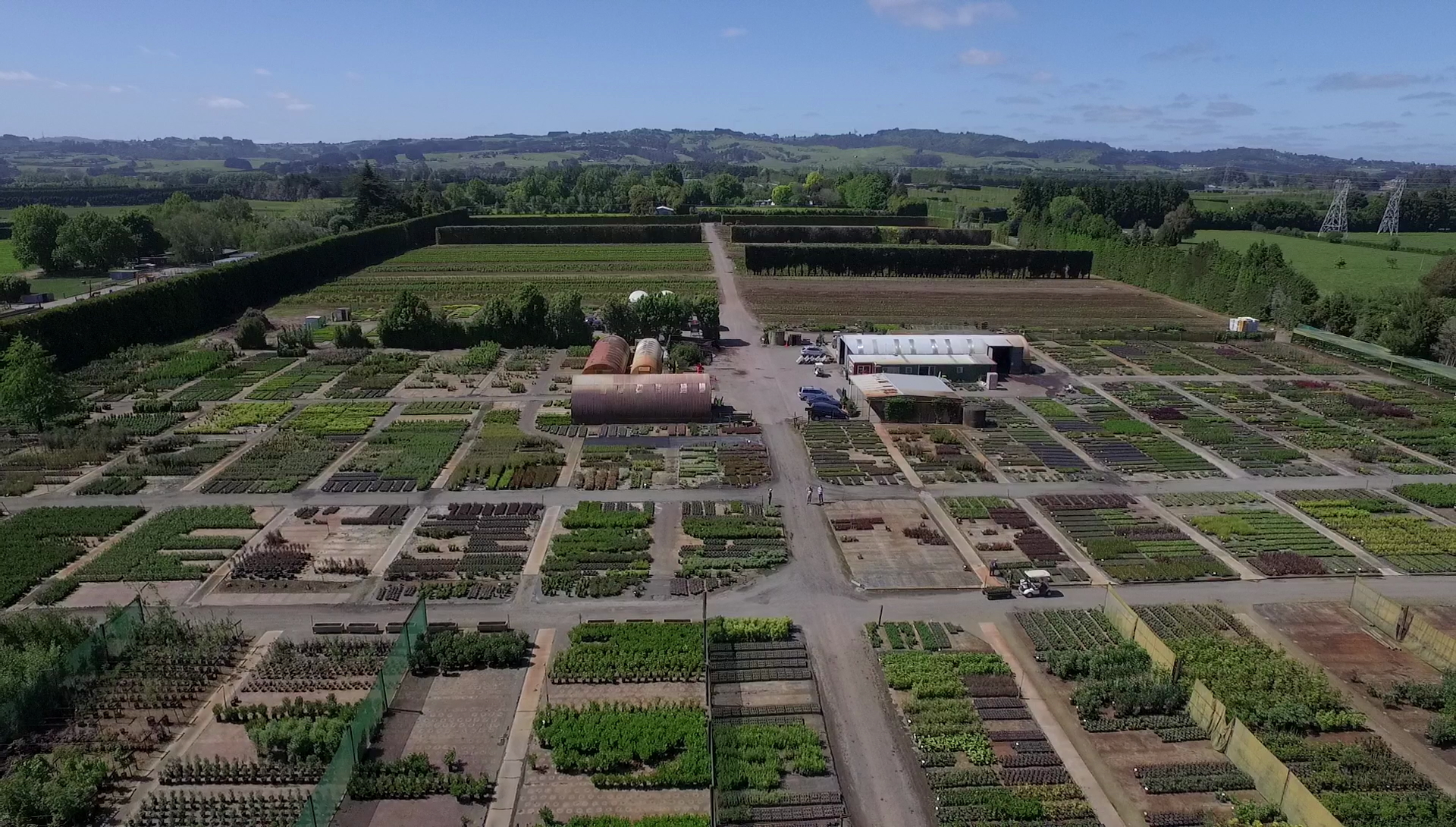 Ardmore Nurseries in Clevedon.