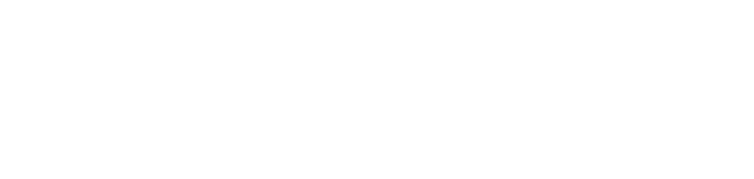 White bold uppercase text spelling 'FINZZ' on a transparent background.