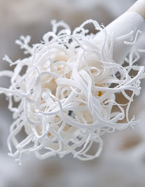 A close-up of a white sculptural form made of tangled, ribbon-like strands twisting outward from a central core, creating an intricate, organic texture against a soft blurred background.