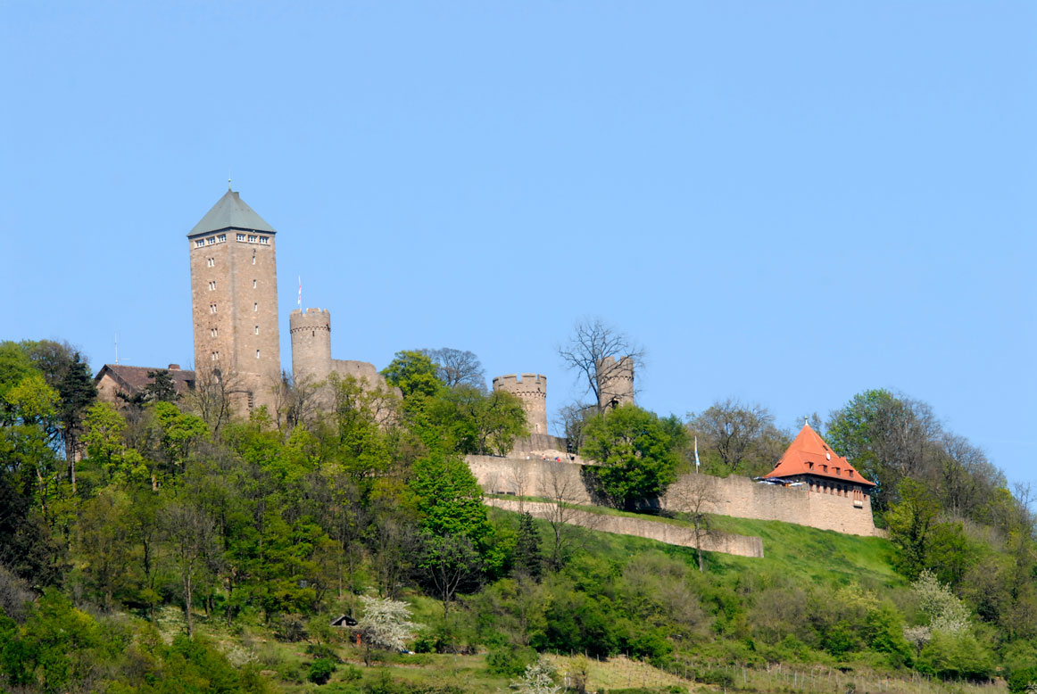 Burg Starkenburg auf einem bewaldeten Hügel unter klarem blauem Himmel.