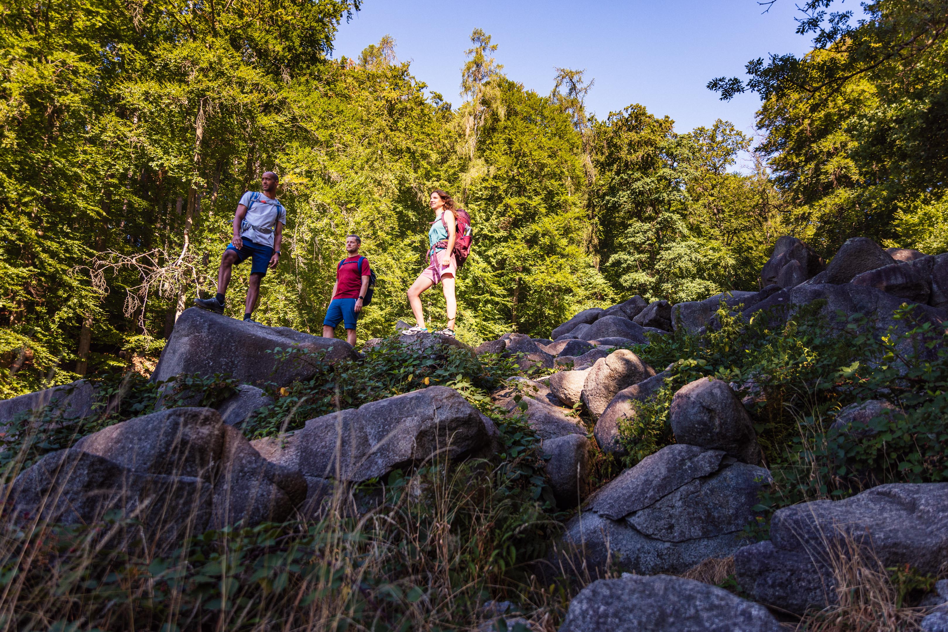 Drei Wanderer stehen auf großen Felsen in einem sonnigen, bewaldeten Gebiet.